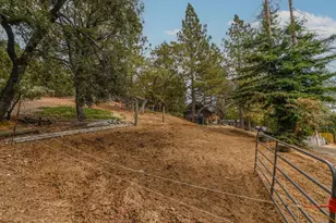 18371 S Sugar Pine Dr, Pine Grove, CA 95665 - Photo 41