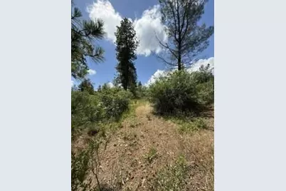 0 Feather Ridge Way, Berry Creek, CA 95916 - Photo 7