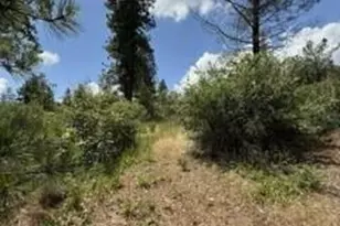 0 Feather Ridge Way, Berry Creek, CA 95916 - Photo 7