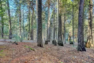 12593 Red Dog Rd, Nevada City, CA 95959 - Photo 39