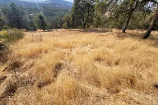 7318 Michelle Way, Browns Valley, CA 95918 - Photo 35