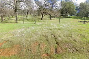 7318 Michelle Way, Browns Valley, CA 95918 - Photo 3