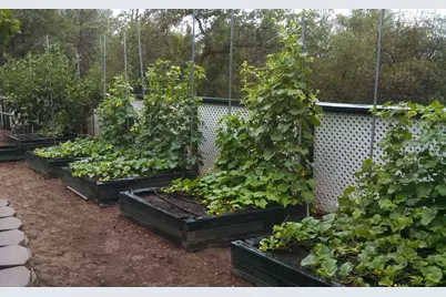 9719 Gary Dr, Browns Valley, CA 95918 - Photo 41