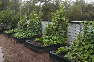 9719 Gary Dr, Browns Valley, CA 95918 - Photo 41