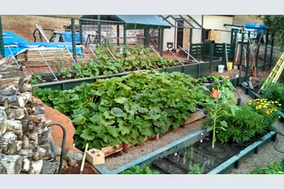 9719 Gary Dr, Browns Valley, CA 95918 - Photo 39