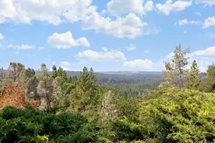 2970 Texas Hill Rd, Placerville, CA 95667 - Photo 45