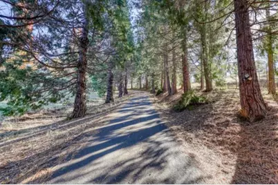 4280 Leisure Lane, Placerville, CA 95667 - Photo 31