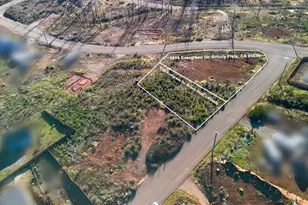 5206 Evergreen Dr, Grizzly Flats, CA 95636 - Photo 1