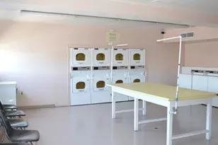 E Serenity Dr, Sacramento, CA 95823 - Photo 27