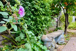 2213 Thurton Dr, Roseville, CA 95747 - Photo 51