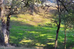 6275 Crystal Blvd, El Dorado, CA 95623 - Photo 33