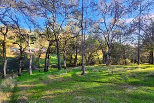 6275 Crystal Blvd, El Dorado, CA 95623 - Photo 29