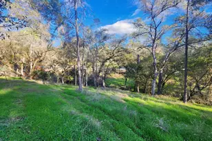 6275 Crystal Blvd, El Dorado, CA 95623 - Photo 7