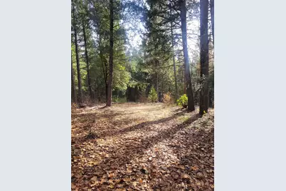 5861 Bear Creek Rd, Garden Valley, CA 95633 - Photo 3