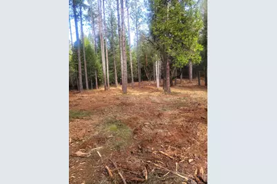 5861 Bear Creek Rd, Garden Valley, CA 95633 - Photo 21