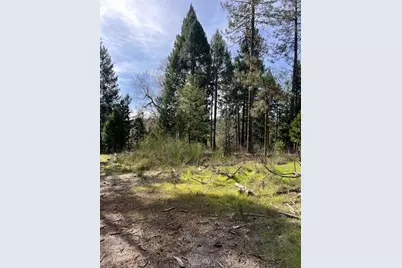 5861 Bear Creek Rd, Garden Valley, CA 95633 - Photo 19