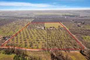 10710 N Shelton Rd, Linden, CA 95236 - Photo 3