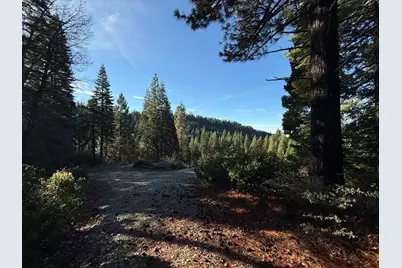 26853 N Bloomfield-Graniteville Road, Nevada City, CA 95959 - Photo 9