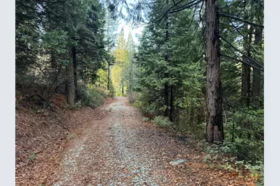 26853 N Bloomfield-Graniteville Road, Nevada City, CA 95959 - Photo 15
