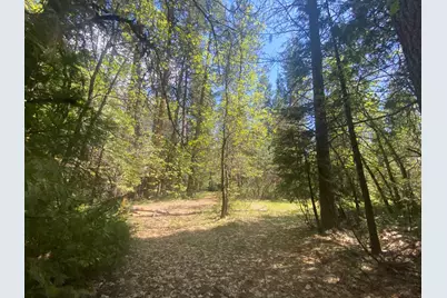 17288 Farrell Ravine Way, Nevada City, CA 95959 - Photo 21