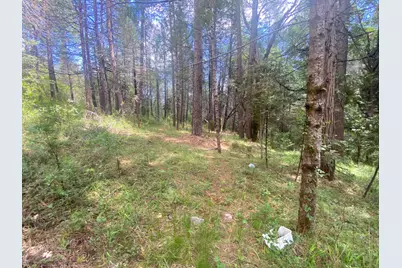 17288 Farrell Ravine Way, Nevada City, CA 95959 - Photo 9