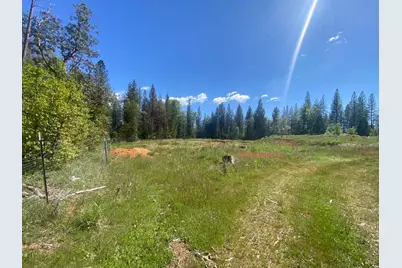 17288 Farrell Ravine Way, Nevada City, CA 95959 - Photo 5