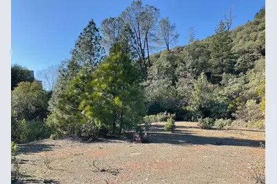 1445 Gallows, Murphys, CA 95223 - Photo 1