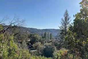 1445 Gallows, Murphys, CA 95223 - Photo 1