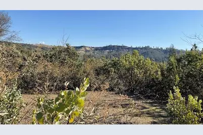 1445 Gallows, Murphys, CA 95223 - Photo 3