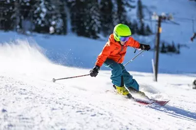 1445 Gallows, Murphys, CA 95223 - Photo 11