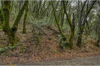 21901 Marcus Lane, Sonora, CA 95370 - Photo 31