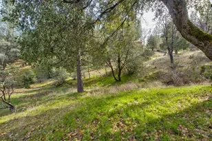 5633 Silver Saddle Dr, Hathaway Pines, CA 95233 - Photo 47