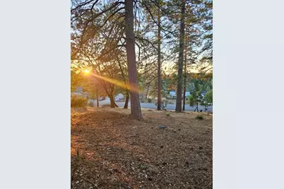 323 Forest Meadows Drive, Murphys, CA 95247 - Photo 5