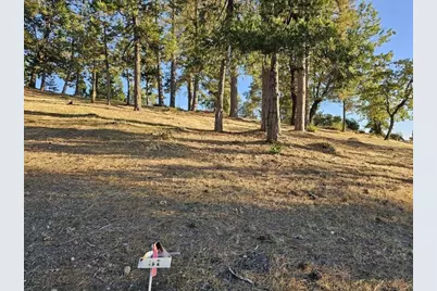 323 Forest Meadows Drive, Murphys, CA 95247 - Photo 9