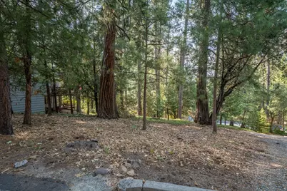 51 Canterwood Lane, Murphys, CA 95247 - Photo 1