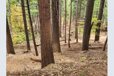 4337 Lakemont Drive, Arnold, CA 95223 - Photo 3