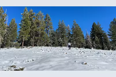 54 Liberty Road, Valley Springs, CA 95223 - Photo 7