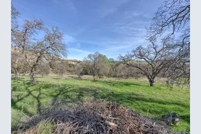 668 Murphys Grade Road, Angels Camp, CA 95222 - Photo 7