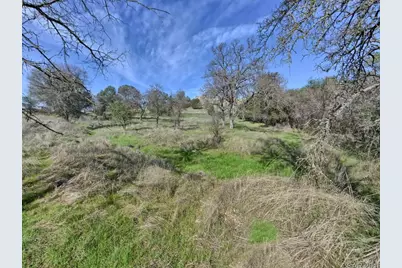 668 Murphys Grade Road, Angels Camp, CA 95222 - Photo 15