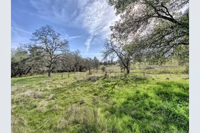 668 Murphys Grade Road, Angels Camp, CA 95222 - Photo 19