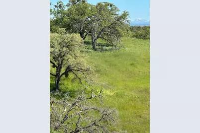 49 Cormorant Drive, Wallace, CA 95254 - Photo 1