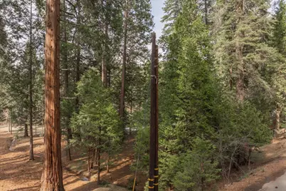 2387 Murphys Drive, Arnold, CA 95223 - Photo 5