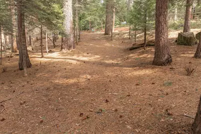 2387 Murphys Drive, Arnold, CA 95223 - Photo 7