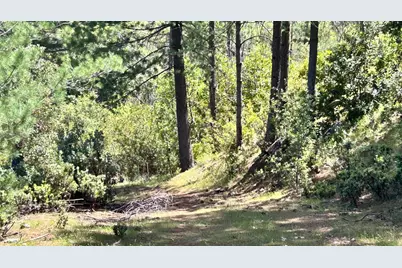 8719 Cave City Road, Mountain Ranch, CA 95246 - Photo 13