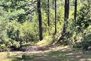 8719 Cave City Rd, Mountain Ranch, CA 95246 - Photo 13