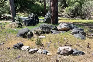 8719 Cave City Rd, Mountain Ranch, CA 95246 - Photo 5