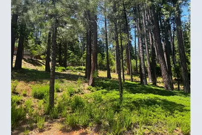 2904 Venado Drive, Arnold, CA 95223 - Photo 5