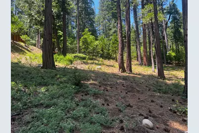 2904 Venado Drive, Arnold, CA 95223 - Photo 11