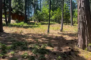 2904 Venado Dr, Arnold, CA 95223 - Photo 1