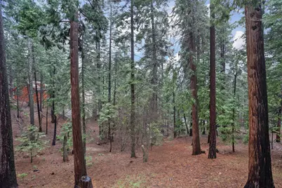 1996 Seminole Way, Arnold, CA 95223 - Photo 53